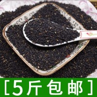 熟黑芝麻 小粒黑芝麻更香 味更足500g五谷雜糧