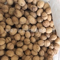 云南核桃500g 辦公室休閑零食堅果散裝核桃批發 云南核桃