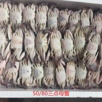 批發60g-80g冷凍野生三點蟹母蟹,三角母,蟹肉飽滿