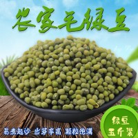 歲耕農家毛綠豆5斤東北新笨綠豆夏日消暑綠豆粥綠豆湯發豆芽原料