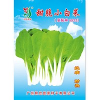 甜脆小白菜種子 耐熱耐雨水抗病性強(qiáng) 特靚甜脆小白菜8933蔬菜種子