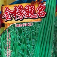 批發蔬菜種子 華贛翠綠長豆角 基地 菜園 菜場種子 400克廠家供應