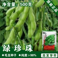 毛豆種子毛豆籽青黃豆種子蔬菜種子批發(fā)菜種菜籽種子公司