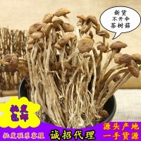 福建茶樹菇古田特產(chǎn)農(nóng)家250g茶樹菇不開傘新貨茶薪菇干貨批發(fā)