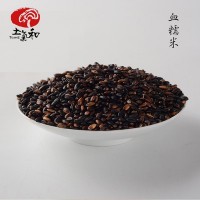 土氣和五谷雜糧批發(fā) 血糯米黑糯米食品廠家批發(fā) 一件代發(fā)