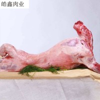 燒烤食材內蒙古羊白條羊批發 新鮮全羊整只 羊肉