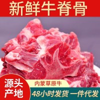 新鮮冷凍牛脊骨商用牛骨頭新鮮帶肉大骨頭牛肉新鮮帶肉牛蝎子批發