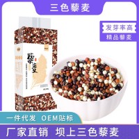 廠家批發 三色藜麥500g/袋張家口壩上黑白紅藜麥混合裝JP