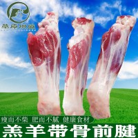 新鮮內蒙羊前腱羊腿肉羊前小腿羊肉批發生羊腿羊棒骨燒烤火鍋冷凍