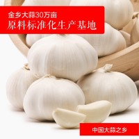 廠家批發金鄉大蒜新鮮農產品 優選紫皮大蒜頭新鮮蔬菜