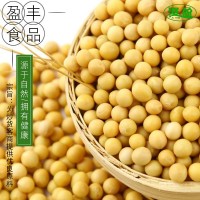 低溫烘焙大豆熟五谷雜糧熟黃豆廠家批發現磨磨粉豆漿批發