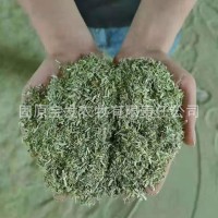 廠家種植新草豚鼠龍貓倉鼠紫花苜蓿草粉 刺猬牧草飼草30公斤袋裝