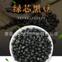 廠家直供黑皮綠仁烘炒黑豆-量大質優，出口品質