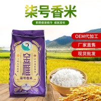 柒號香米10kg 廠家供應金雁大米食品米飯自然清香軟糯香米