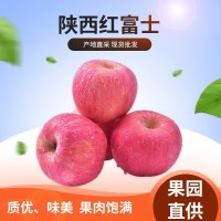 陜西寶雞紅富士蘋果包郵帶箱5斤/10斤新鮮現摘水果脆甜應季批發