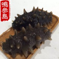 大連海參長?？h深海即食海參遼參500g一件代發(fā)口感好工廠加工批發(fā)