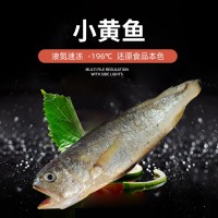 舟山東海3條/400g大黃魚 冷凍簡裝凍貨黃魚 批發家用鮮美深水黃魚