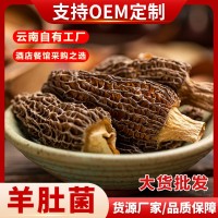 云南產地高原羊肚菌干貨500g批發散裝羊肚菌煲湯食材大量批發  1件起批