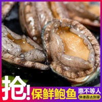 鮑夫人 批發AAA400g裝 帶殼活凍鮑魚 6頭凍鮑魚 熟凍鮑魚真空包裝  2盒起批