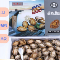 工廠直供鮑夫人去殼去肚鮑魚肉佛跳墻原料活凍全規格鮑魚凈肉10斤  2盒起批