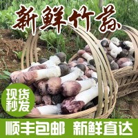 云南特產新鮮竹蓀散裝包郵清香爽口食用菌產地供應新鮮帶裙竹蓀  2件起批