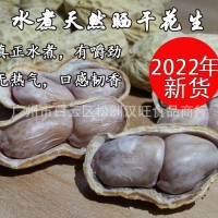 2022年新貨白玉咸干花生農家水煮花生白曬咸干鹽水煮花生1包50斤