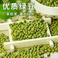 綠豆農(nóng)家五谷雜糧發(fā)豆芽綠豆散裝解暑綠豆湯綠豆種子熬煮豆類(lèi) 批發(fā)