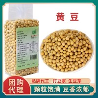 東北大豆黃豆生豆芽打豆?jié){豆腐專(zhuān)用五谷雜糧原料真空包裝批發(fā)包郵