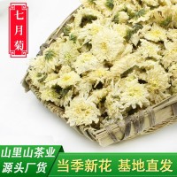 22年新花山里山安徽黃山貢菊散裝菊花茶批發產地貨源500克白菊花