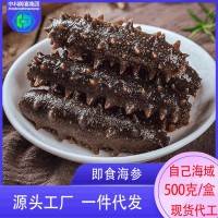 批發(fā)鮮蒸即食海參鮮冷凍大連海參中科水產廠家獐子港即食海參