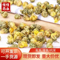 桐鄉(xiāng)胎菊王 黃金菊干花 無(wú)硫蘇杭州白菊花草茶野菊花散裝現(xiàn)貨批發(fā)