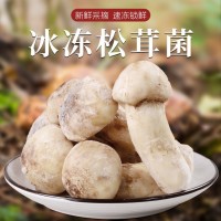 冰鮮松茸冰凍松茸云南特產山珍食用菌菇冬季煲湯食材菌子新鮮松茸 2千克起批