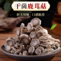 產地新鮮鹿茸菇500克 云南特產食用菌不開傘鹿茸菇新鮮蘑菇批發 2盒起批