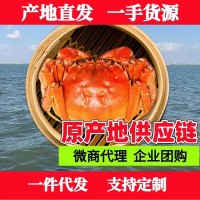 大閘蟹蘇州陽(yáng)澄湖鎮(zhèn)中秋禮品企業(yè)團(tuán)購(gòu)批發(fā)代理螃蟹禮盒提貨卡禮券