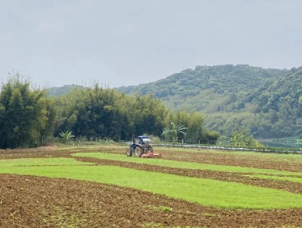 金融鏈接農業精準滴灌　助力“新農人”追尋“稻田夢”