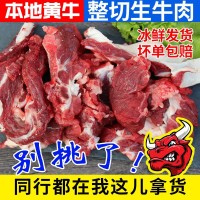 本地散養(yǎng)新鮮黃牛生牛肉牛碎肉冷凍商用冷凍大塊碎牛肉批發(fā)牛肉塊