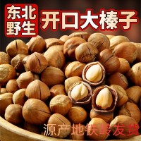 東北特產 榛子 開口榛子 大榛子 鐵嶺榛子 堅果干貨手拍榛子 500g