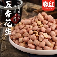 【老鄉(xiāng)專屬】五香花生米烘烤制作咸香酥脆可口沈陽(yáng)春紅食品廠家