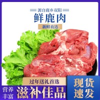 鮮鹿肉 吉林鹿鄉鹿肉鹿場批發鹿產品真空包裝新鮮冷鏈直發鹿肉